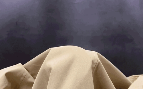 2020_0922_5ffeb7c8g00qh27zc02hnd200dw008pg00id00bh.gif