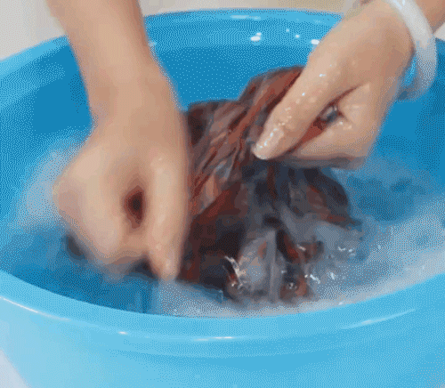 1610531842593721.gif
